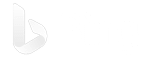 Bing search box optimization