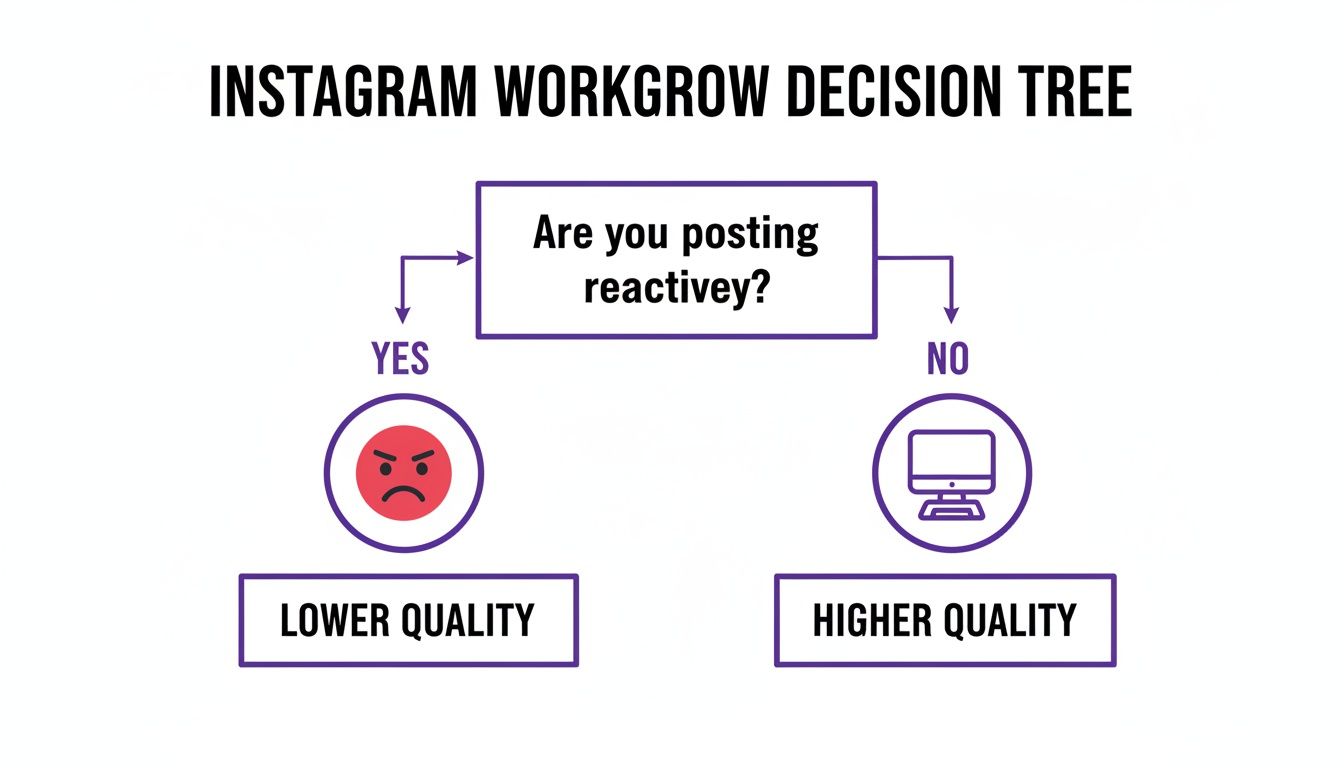 Instagram decision tree visualizing reactive posting leads to lower quality content, non-reactive to higher quality.
